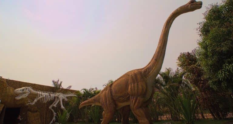 15690012175d850f01a2b09159126302