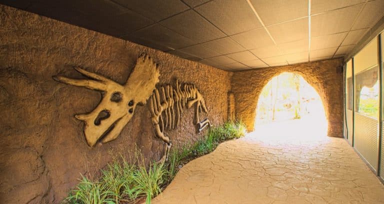 15690012175d850f01c8adf205986058