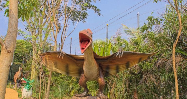 15690012185d850f0229312512094574