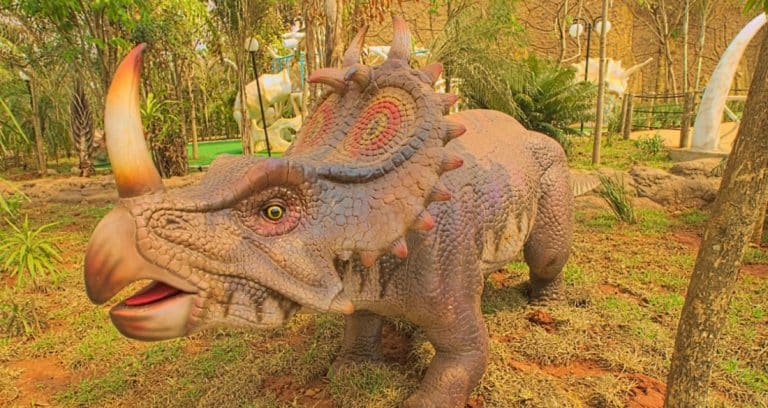 15690015295d8510394adf1008451859