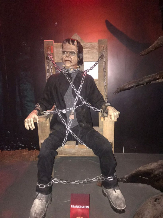 164218963261e1d34003583805556376