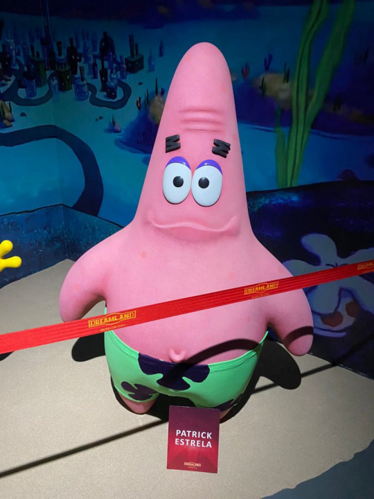 164218963261e1d3408dfd8998900099