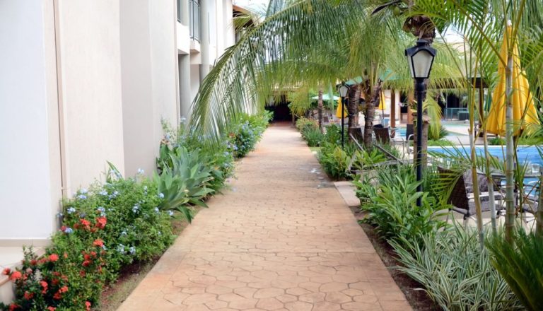 16110649826006e69685fe6237646059