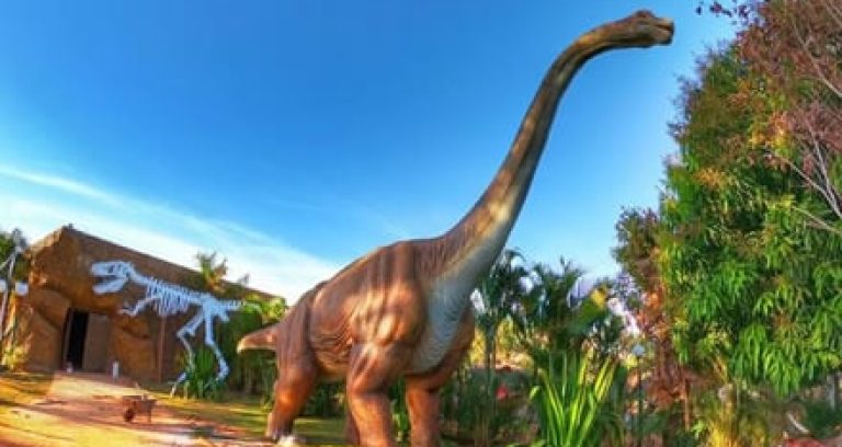 16073712655fce8a01ee091851101800